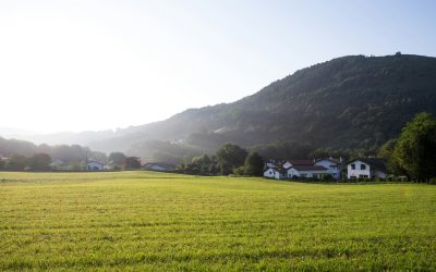 Ley de Transición Energética y Cambio Climático